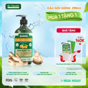 Dầu Gội Gừng Biohealth Giảm Rụng Tóc 290ml
